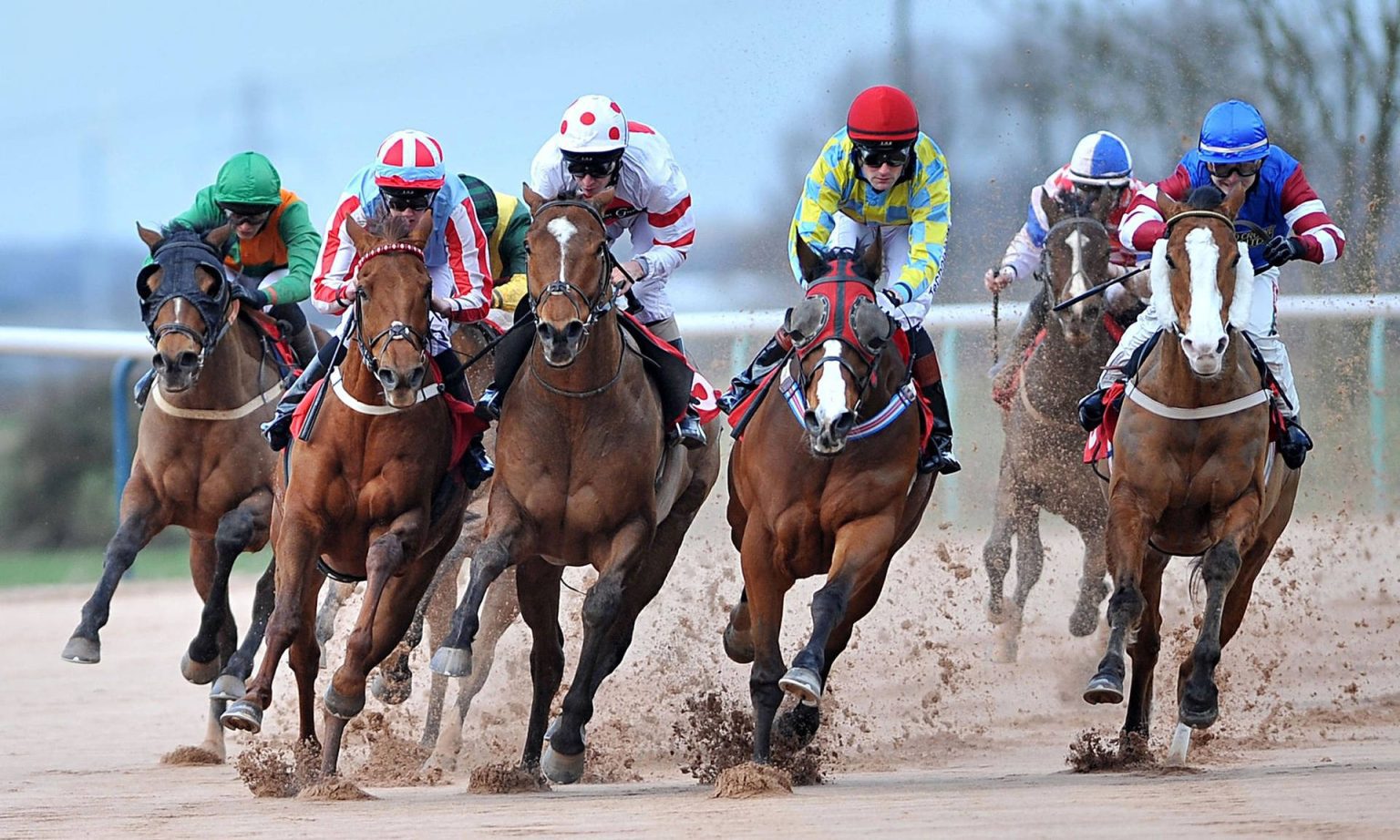 Beginner’s Guide to Betting on Horse Racing: Tips, Terms, and Strategies