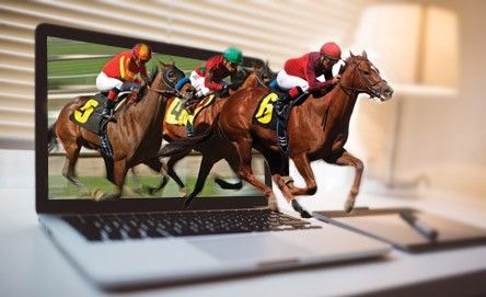 Top Strategies to Profit from Changing Horse Racing Betting Odds